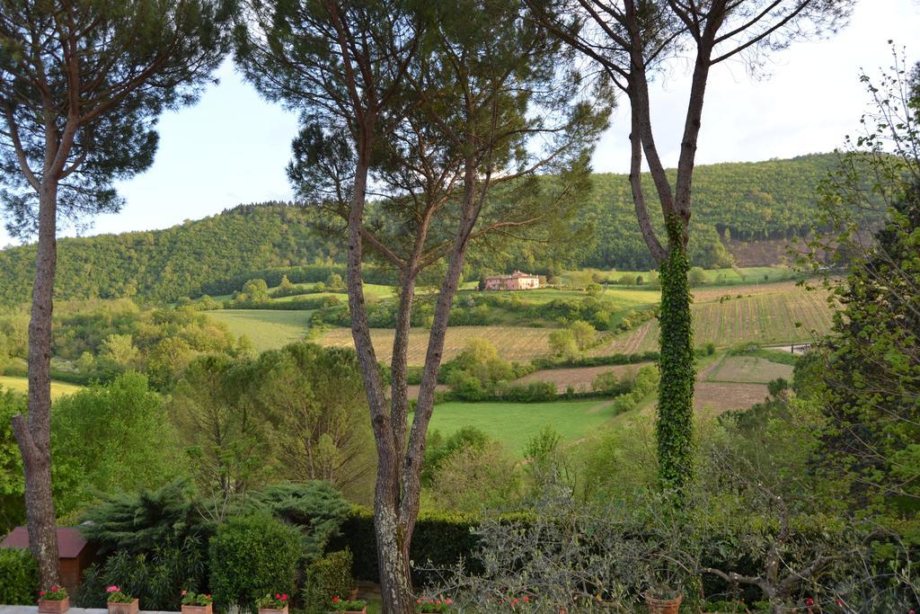 B&B Villa Il Poggiolino Molino del Piano Exterior foto